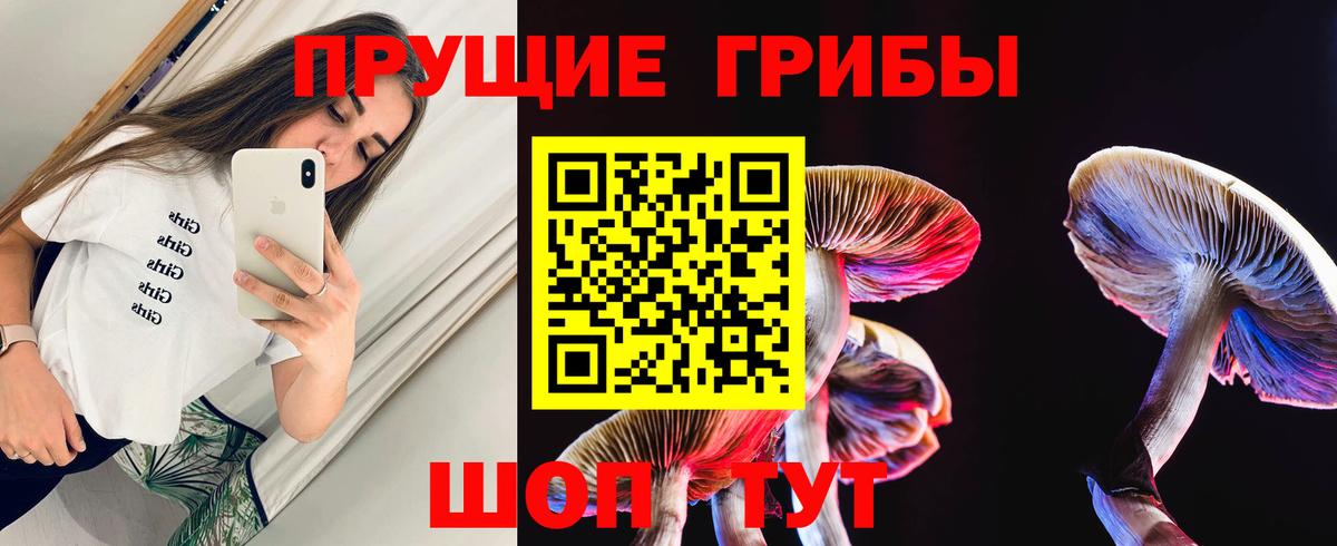 Псилоцибиновые грибы мицелий  Псилоцибиновые грибы MAGIC MUSHROOMS  Майский  закладка  Вход с VPN 